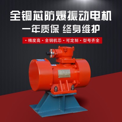 YBZ防爆振动电机 （粉尘2级 4级 6级防爆电动机厂家）图3