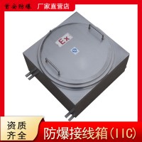 首安防爆厂家定制防爆