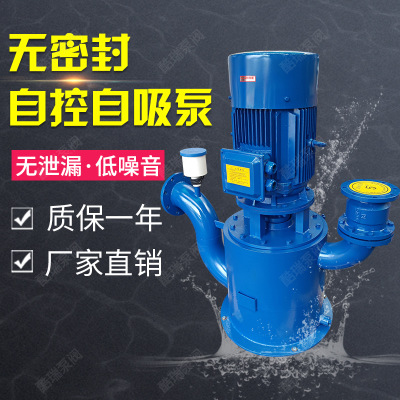 WFB自吸泵 无密封自吸水泵 专业自控立式自吸清水泵