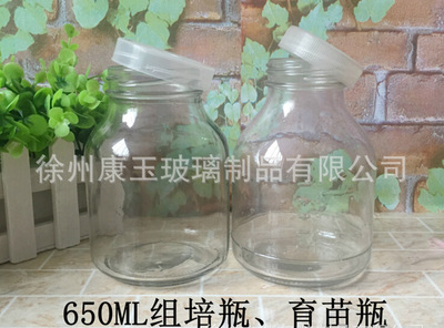 厂家直销650ml刻度玻璃组培瓶玻璃瓶组培瓶菌种玻璃瓶培养瓶