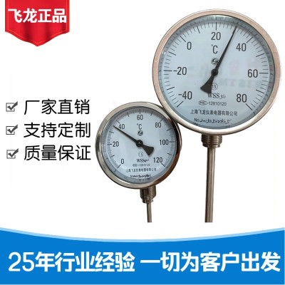 防腐化工行业工业用温度计 双金属温度计WSS-411不锈钢温度计