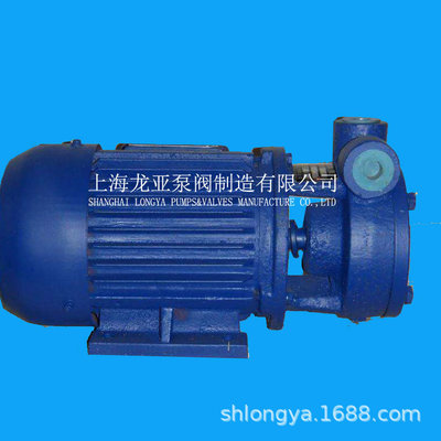 销售40W-90不锈钢叶轮旋涡泵 变频旋涡泵