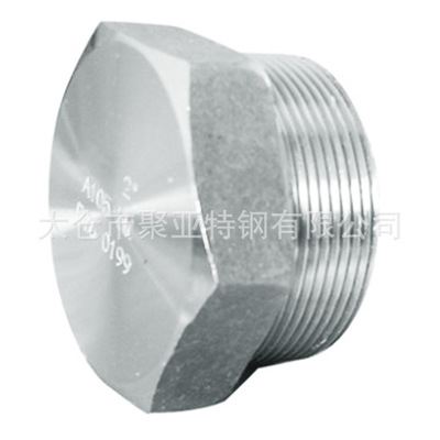 生产特殊钢合金钢材质封头堵头管帽管塞 六角管堵、圆头管堵