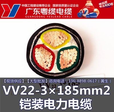 广东粤缆电缆 VV22-3×185mm2 铠装电缆 广东名牌  电线厂家