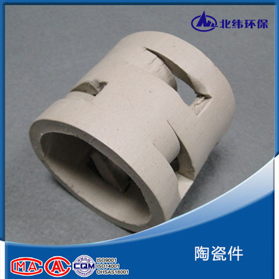 萍乡厂价直销陶瓷鲍尔环用于二氧化碳脱气塔酸雾净化塔等反应塔
