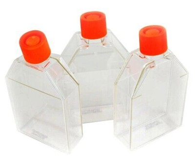 Corning 430720 75cm正方黄盖斜口细胞培养瓶 5个/包,20包/箱