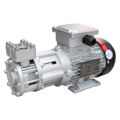 MDW-15优质磁力驱动式高温旋涡泵 小型精密耐高温热水热油旋涡泵