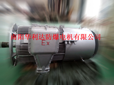 南阳防爆电机高压YB2-4502-4-560KW-V1
