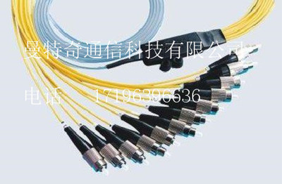 厂家直销FC广电级12芯束状尾纤 C12芯束状尾纤光纤跳线