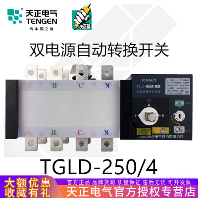 TENGEN天正电气TGLD-250双电源自动转换开关4P250A200A隔离型PC级