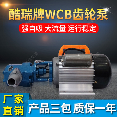 WCB-30 小型手提式齿轮油泵 WCB电动柴油齿轮泵 便携式齿轮油泵