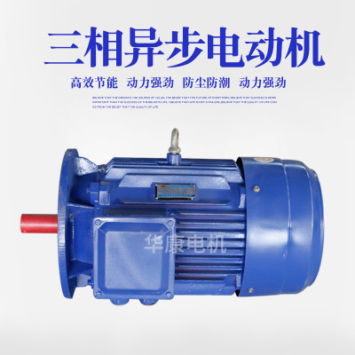 厂家直销 水泵专用电机 YE2-315M-4矿山机械电动机三相异步电动机