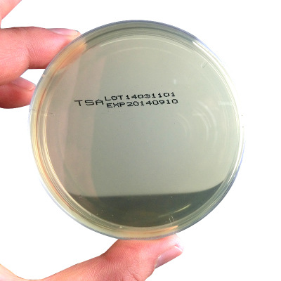 大豆酪蛋白琼脂表面培养基55mm TSA接触皿 微生物培养基