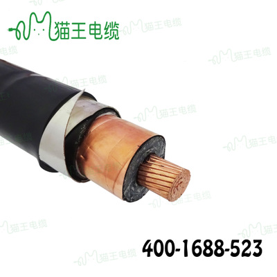 铠装电力电缆  YJV62/23/35KV  1×300