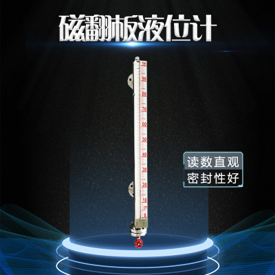 厂家直销B49H耐高温磁性水位计 丹阳485通讯磁致伸缩PP液位计图1
