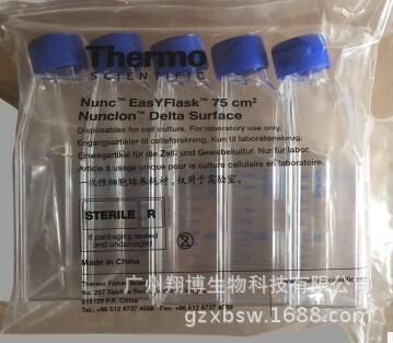 NUNC156499细胞培养瓶75c㎡ 无菌培养瓶  Thermo （整箱起订）