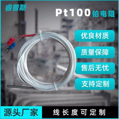 PT100热电阻电镀用热电偶 温度传感器防腐铂电阻套管热电偶