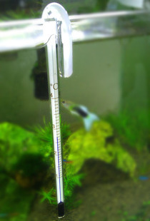 鱼缸温度计拐棍挂钩玻璃温度计水族用品透明水族箱温度计