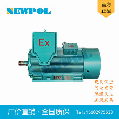 YB3 4001-4 160KW 10kv南阳防爆电机 高压隔爆型电动机最低价订货