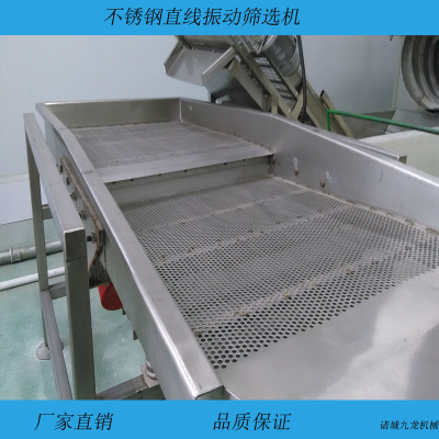 厂家直供直线振动筛选机 不锈钢脱水蔬菜振动沥水机 果蔬振动筛