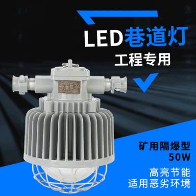 LED防爆灯 DGS50/127L（A）矿用隔爆型LED巷道灯 井下照明灯具