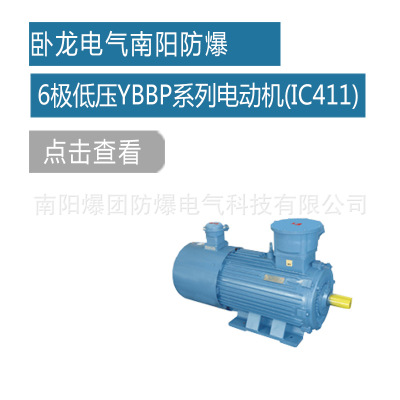 卧龙电气南阳防爆 6极低压YBBP系列隔爆型三相异步电动机(IC411)