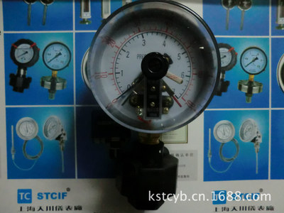 PP隔膜电接点压力表 上海天川仪表 耐腐