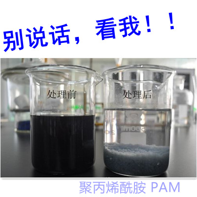 污水处理剂PAM 阴离子阳离子非离子聚丙烯酰胺 山东大湖厂家直销