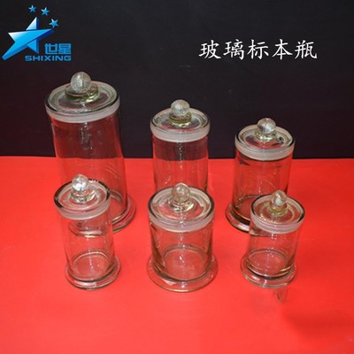 标本瓶样品瓶 玻璃染色缸  圆形 标本缸 展示瓶 生物玻璃仪器教具