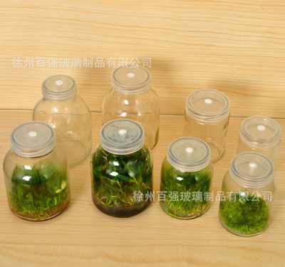 厂家直销650ml刻度玻璃组培瓶耐高温 菌种玻璃瓶 虫草兰花培养瓶