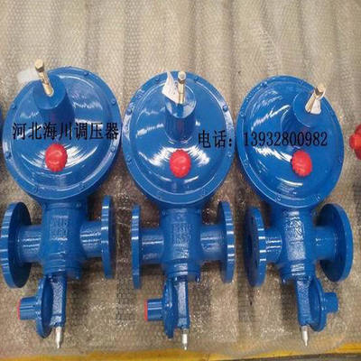 河北RTZ-50/0.4FQ型燃气调压器减压阀 液化石油气减压器 过滤器