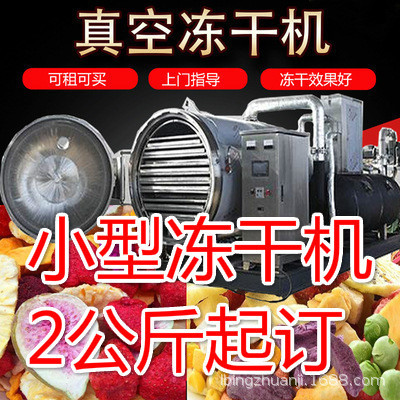 麦可酷小型真空冻干机水果干燥机蔬菜冷冻干燥海鲜设备麦厂家直销