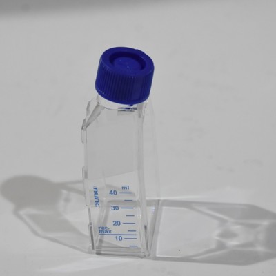 赛默飞/nunc细胞培养瓶 灭菌 无热原 透气密封 细胞培养瓶156340