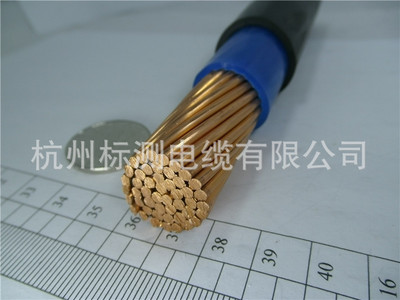 龙港集团绿城牌YJV 1*240 300mm2单芯铜电缆线 电力电缆