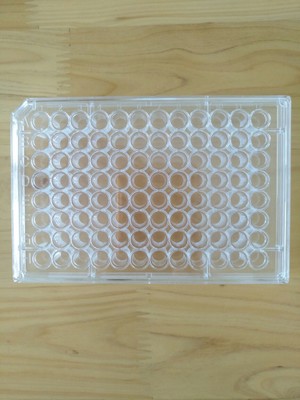 厂家直销 教学仪器/实验器材96孔塑料平底细菌培养板酶标板
