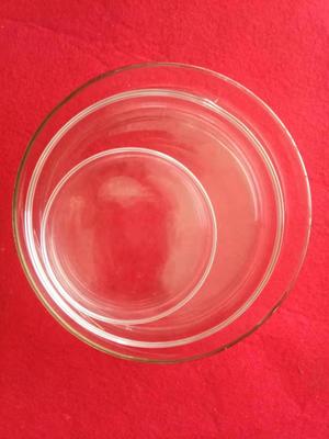 单盖玻璃单盖培养皿生化培养皿Petri dish lab glassware