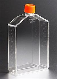 供应批发康宁 CORNING 25cm2细胞培养瓶（透气盖）货号430639