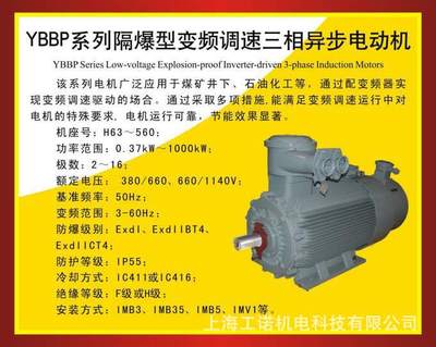 南阳防爆YBBP系列低压隔爆型变频调速异步电机