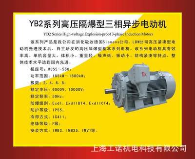 南阳防爆YB2系列高压隔爆型异步电动机