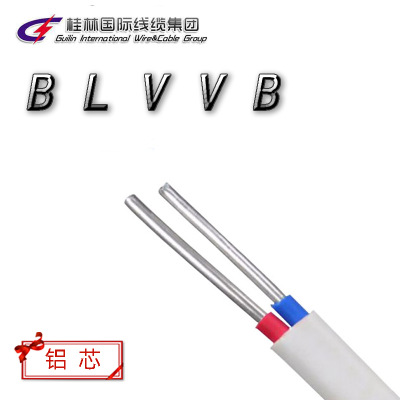 桂林国际电缆 2.5~10平方双芯三芯铝线铝芯护套线国标足米可检测