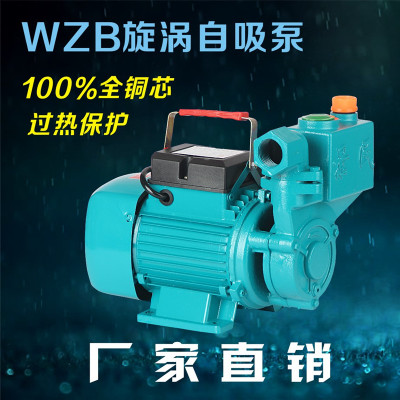 家用水井抽水机高压漩涡增压自吸泵220V单相水塔离心泵小型清水泵