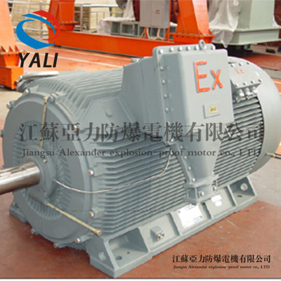 YB2-400防爆高压南阳电机 高压隔爆型三相异步电动机