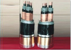 专业生产6～35KV高压交联聚乙烯绝缘电力电缆