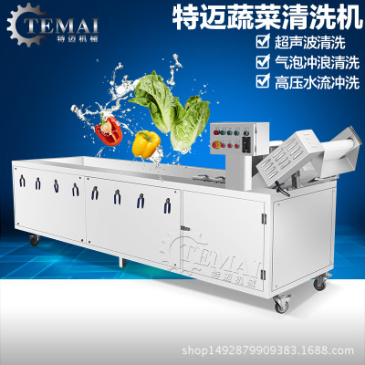 定制商用芽苗菜臭氧气泡清洗机 蔬菜多功能自动提升喷淋式洗菜机