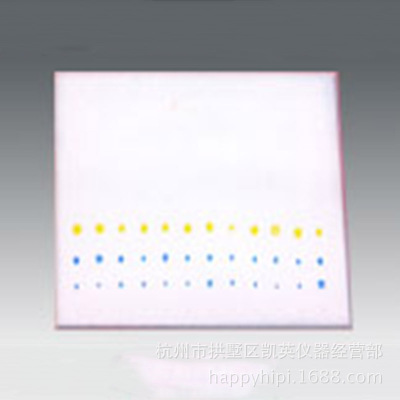 薄层色谱板 特殊规格可定做 G/GF254两种可选 薄层色谱板 200*200