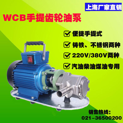 现货热卖WCB-50便携式手提齿轮泵小型电动柴油泵防爆型机油煤油泵