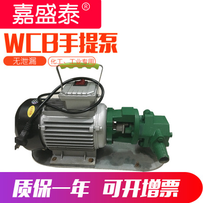 齿轮泵 小型wcb-50微型便携式机油泵 wcb手提泵 小型柴油卸油泵