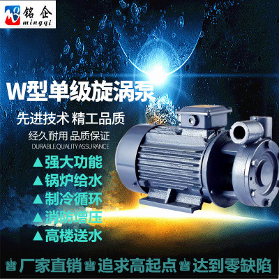 W型单级旋涡泵 高压锅炉增压泵 清水离心泵1W2.5-120-3热水循环泵
