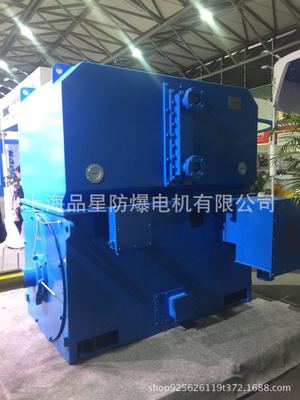 上海品星厂家直销 YKS-500-4-1000KW-10KV 高压异步电机石化冶金