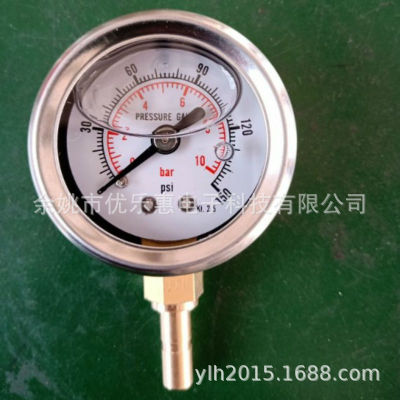 定做y40径向耐震压力表不锈钢 水压表 气泵充油压力表 插管液压表